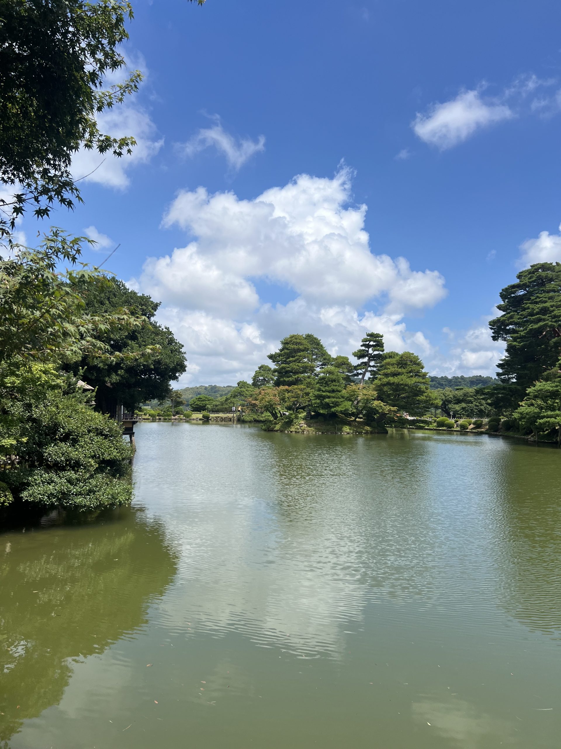 驚きました！