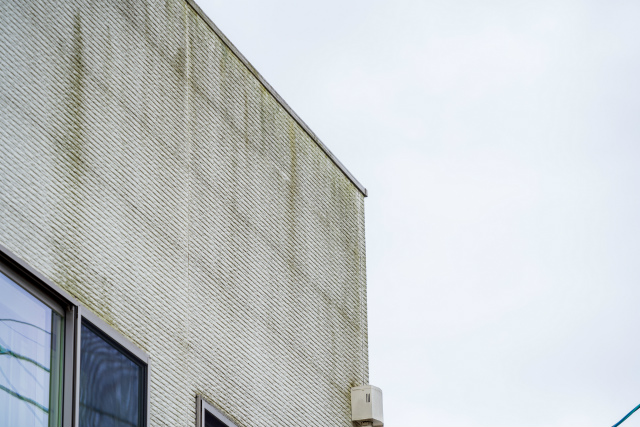 雨だれ汚れは劣化の合図
